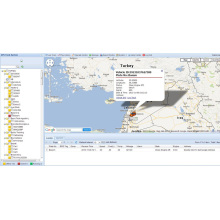 GPS-Tracking-System mit kostenloser Software (TS05-KW)